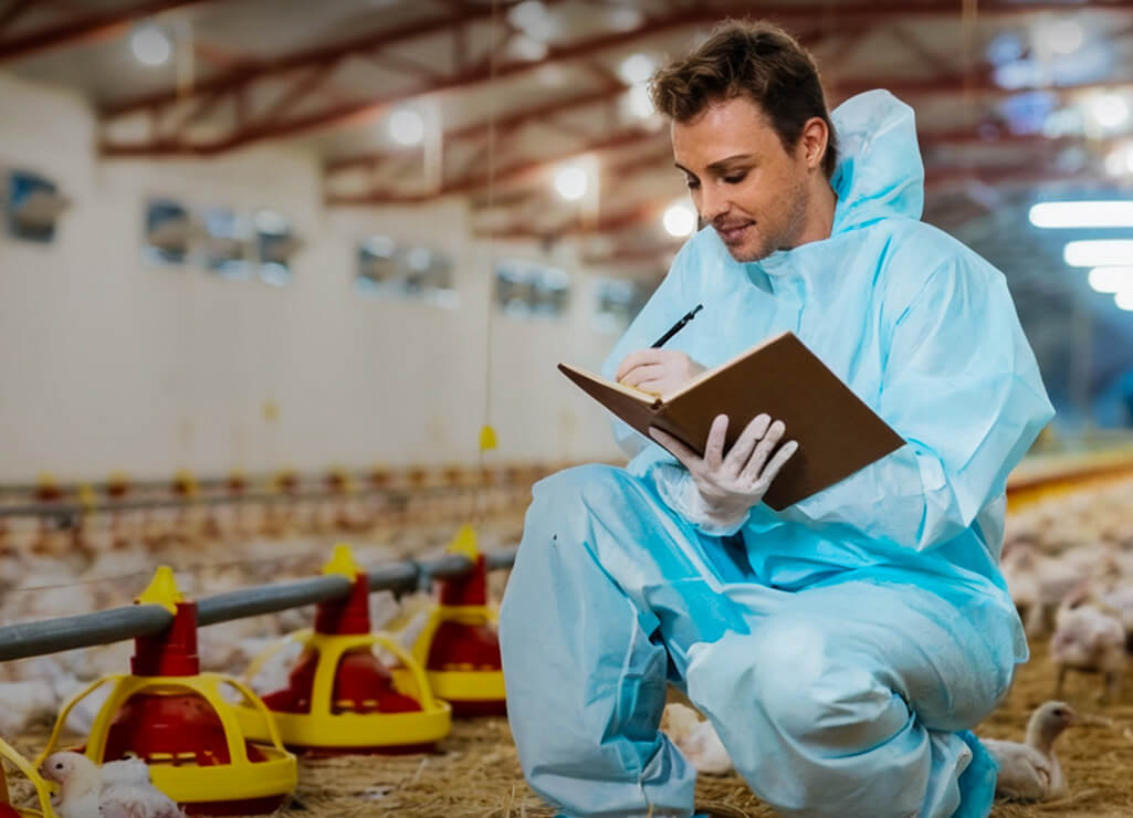 Broiler Equipment Cases