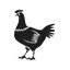 Broiler Equipment Cases