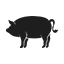 Pig Eqiupment Cases