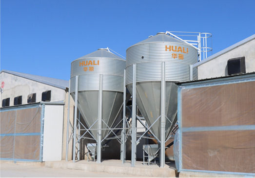 Feeding line conveying