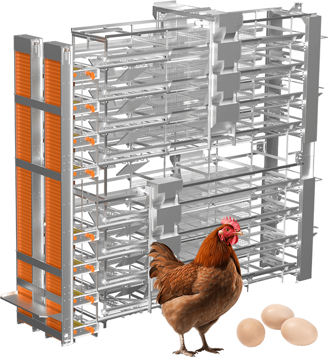 Egg Products