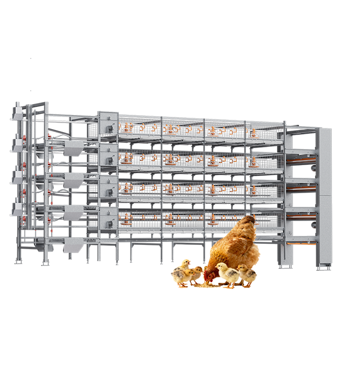 Broiler Products