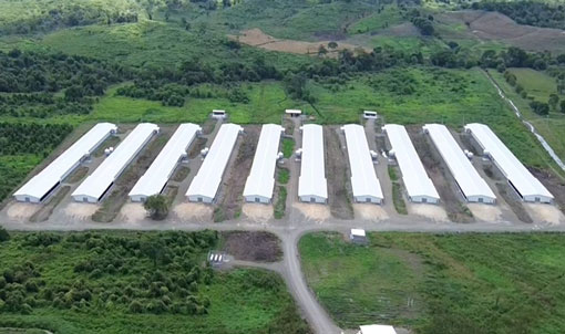 Ecuador Broiler Floor-Rearing Project