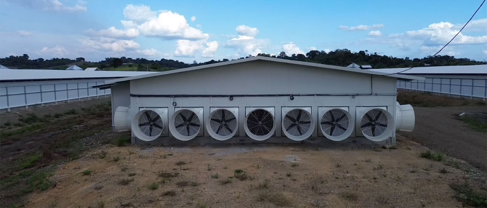 Ecuador Broiler Floor-Rearing Project