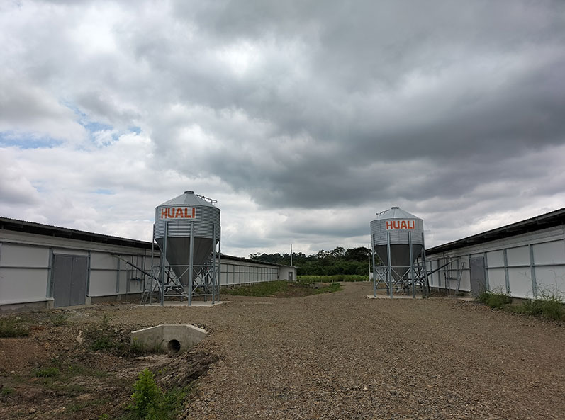 Ecuador Broiler Floor-Rearing Project