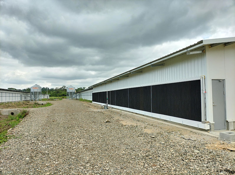 Ecuador Broiler Floor-Rearing Project