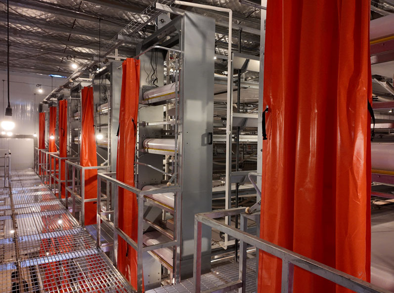 Hunan Guanxiang Layer Cage Project