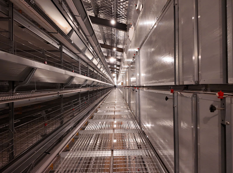 Hunan Guanxiang Layer Cage Project