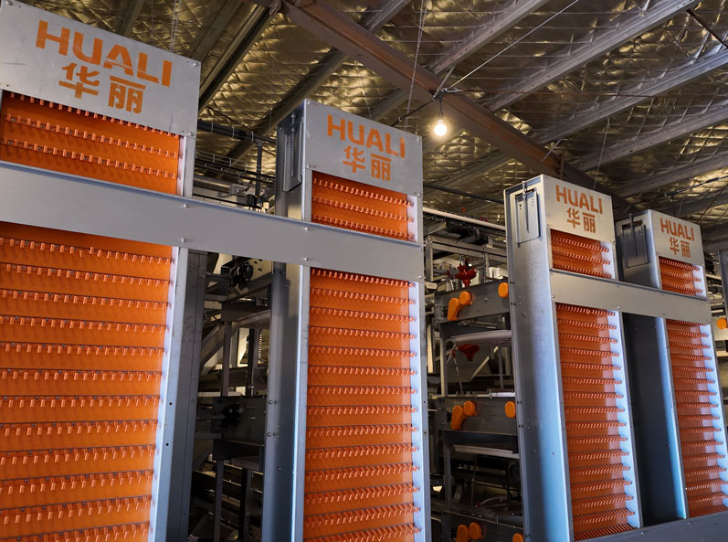 Hunan Guanxiang Layer Cage Project