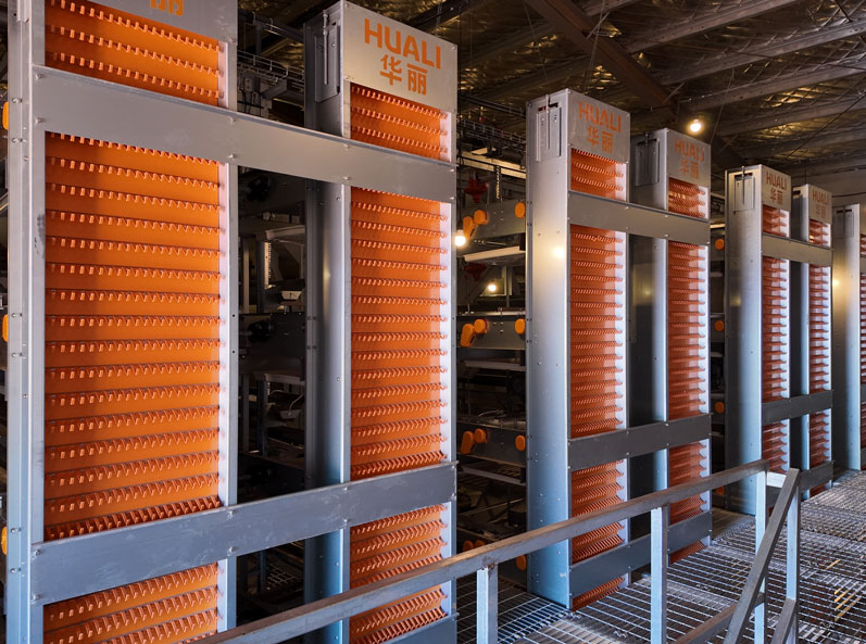 Hunan Guanxiang Layer Cage Project