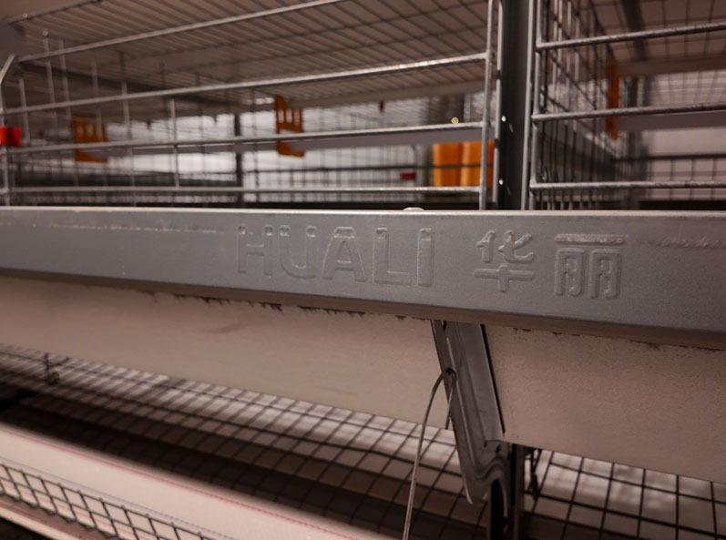 Hunan Guanxiang Layer Cage Project