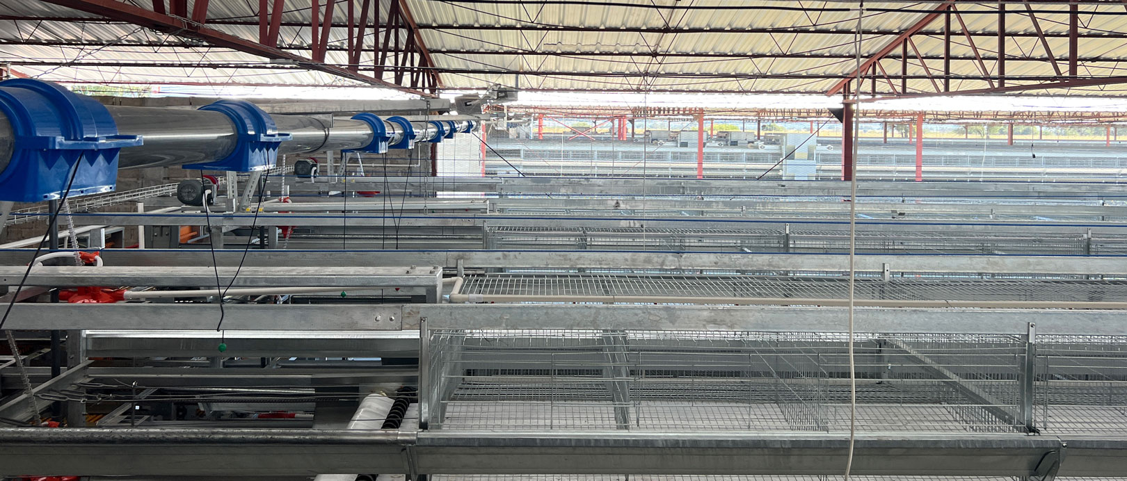 Mexico Layer Cage Farming Project