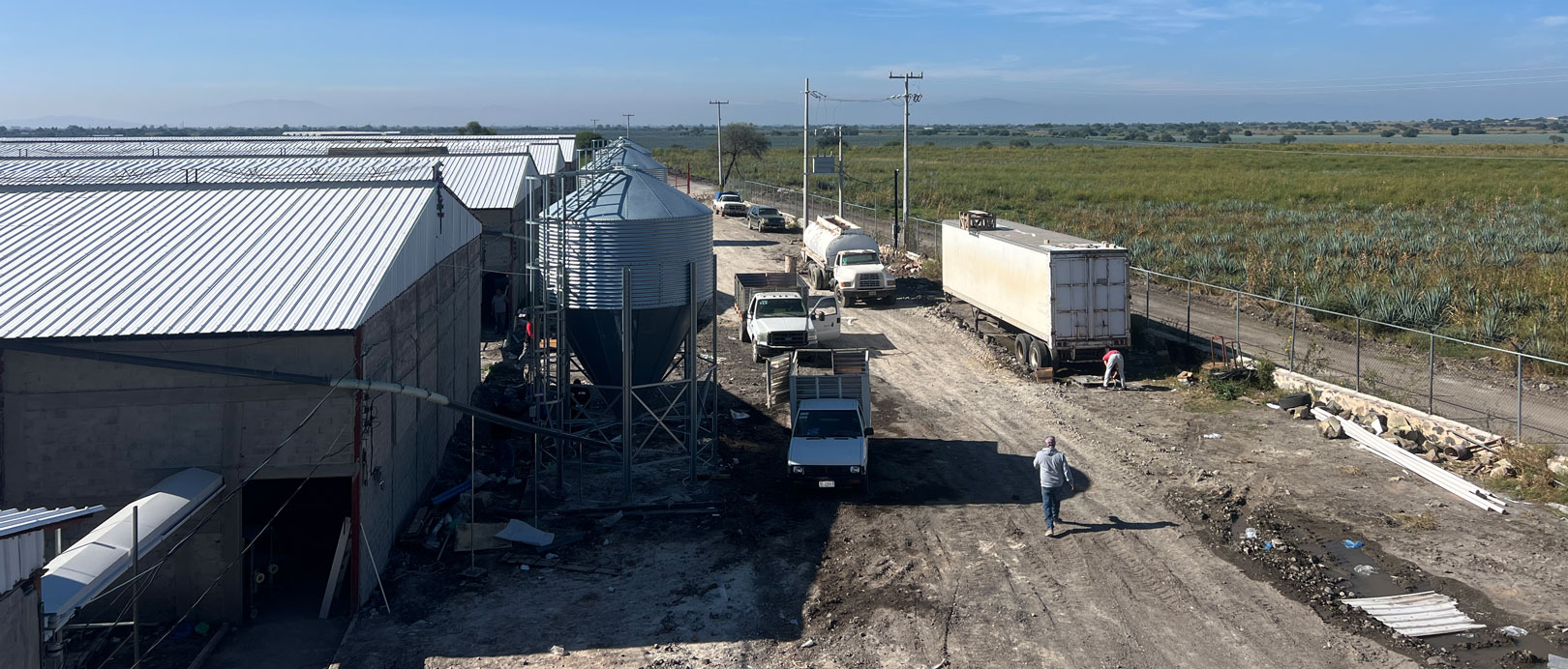 Mexico Layer Cage Farming Project
