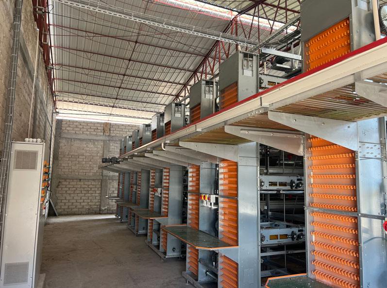 Mexico Layer Cage Farming Project