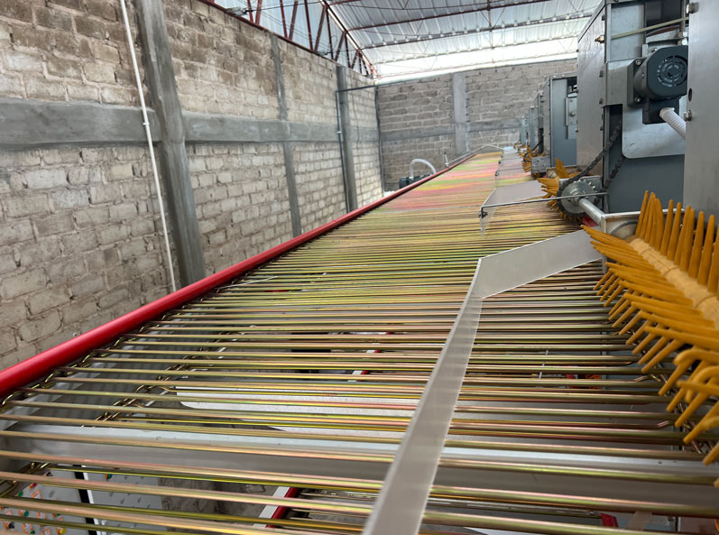 Mexico Layer Cage Farming Project