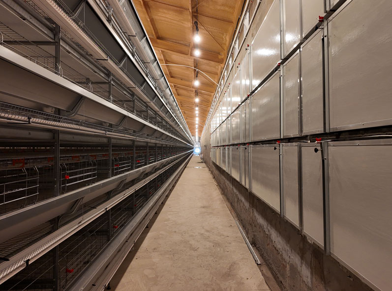 Qingdao GaoTianRan Layer Cage Project