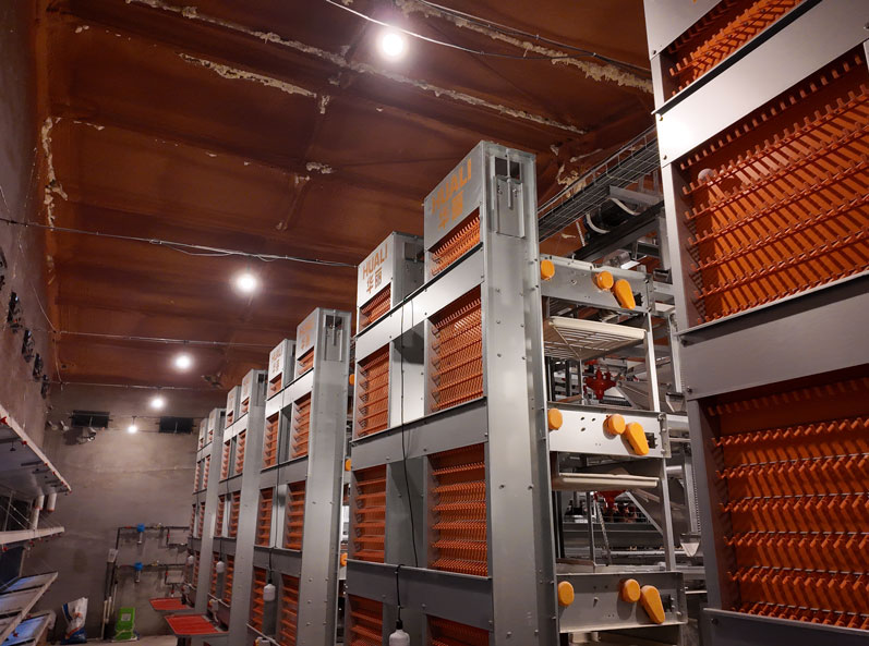 Qingdao GaoTianRan Layer Cage Project