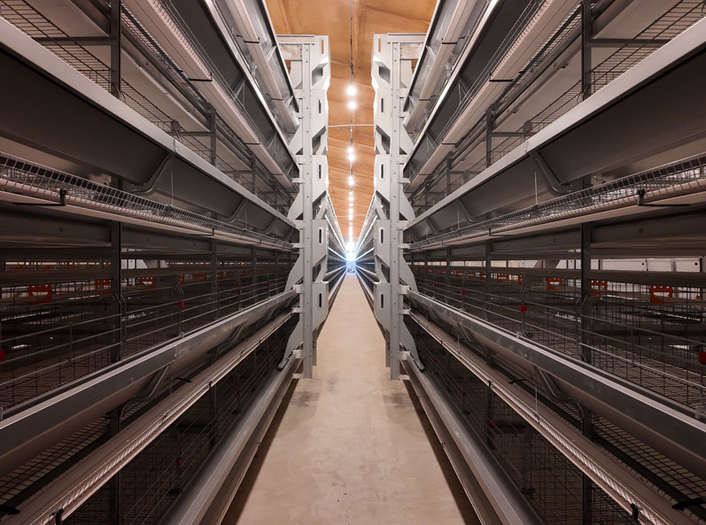 Qingdao GaoTianRan Layer Cage Project