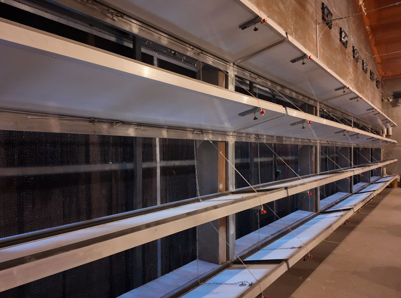 Qingdao GaoTianRan Layer Cage Project