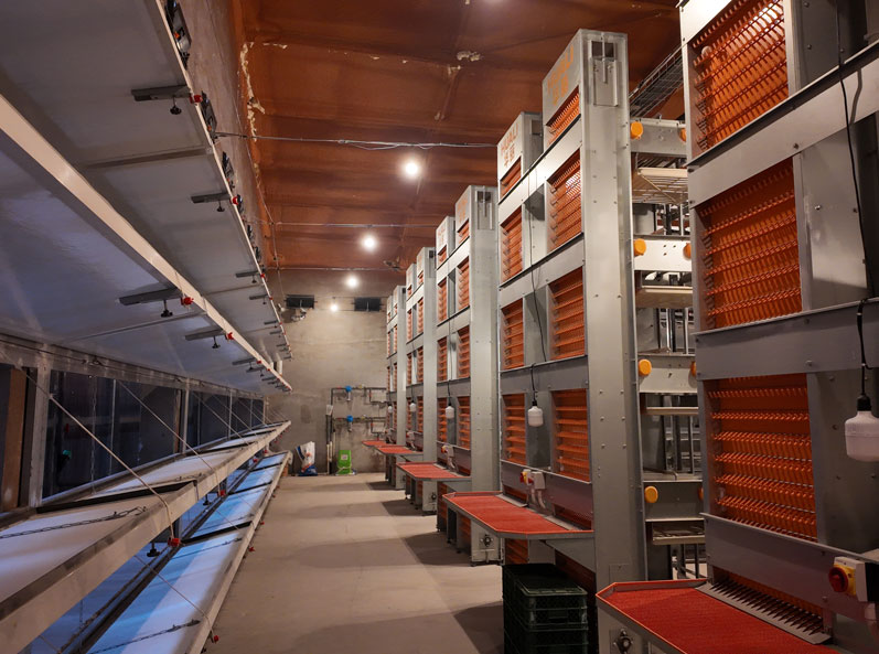 Qingdao GaoTianRan Layer Cage Project