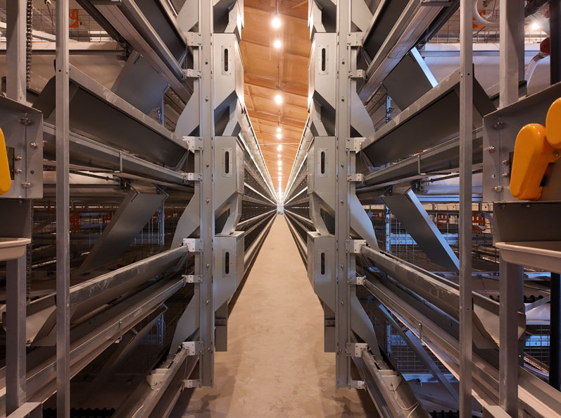 Qingdao GaoTianRan Layer Cage Project