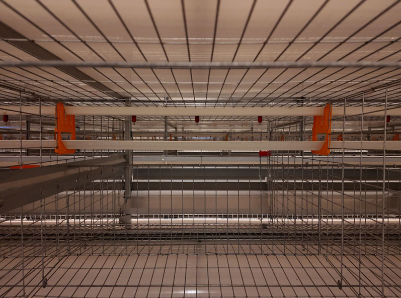 Qingdao GaoTianRan Layer Cage Project