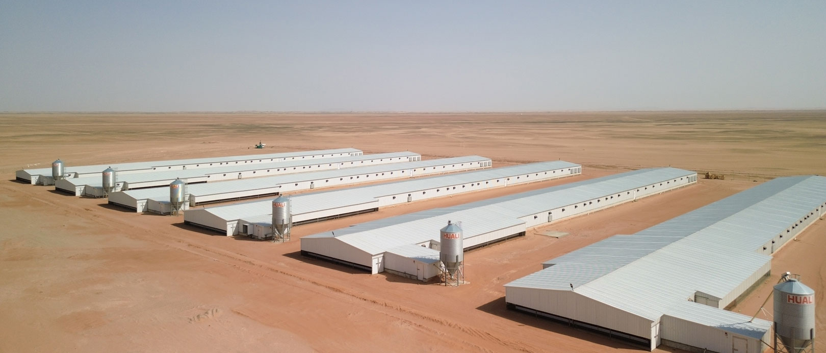 Saudi Broiler Floor-Rearing Project