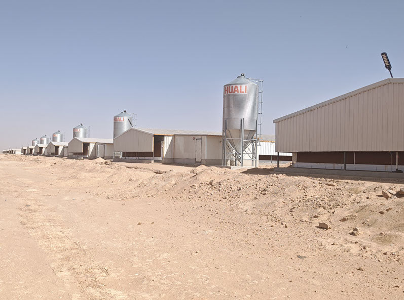 Saudi Broiler Floor-Rearing Project