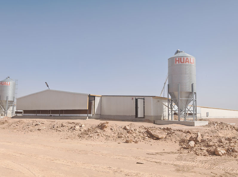 Saudi Broiler Floor-Rearing Project