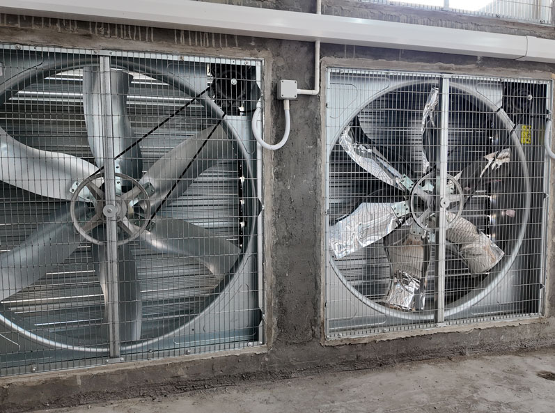 Shandong Meat Duck Cage Farming Project