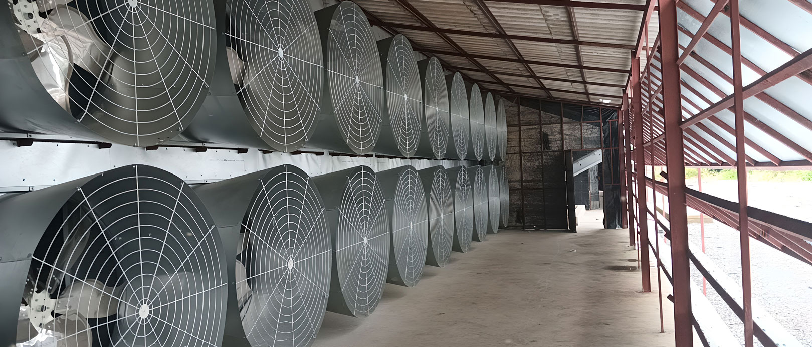 Thailand Layer Cage Farming Project