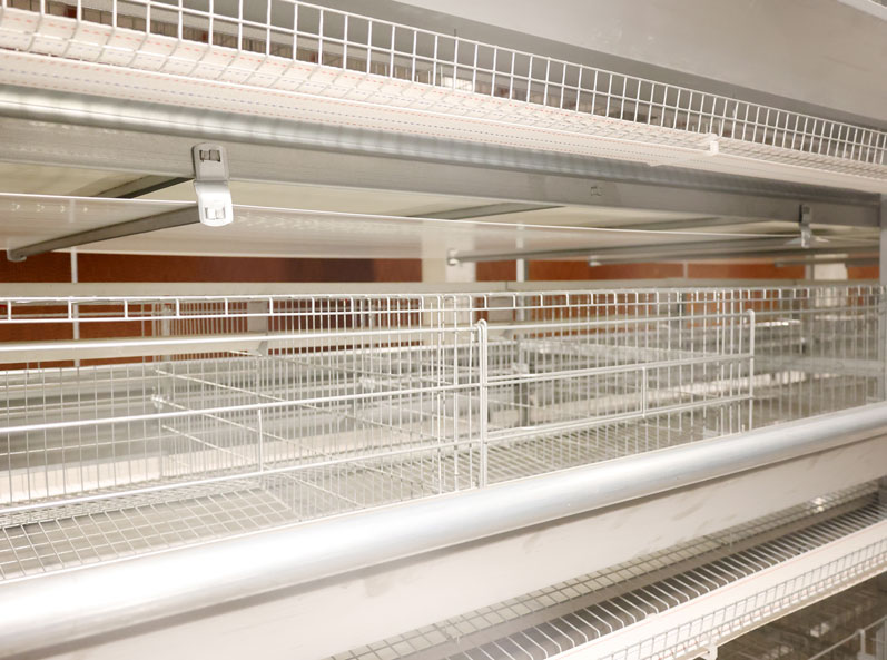 Thailand Layer Cage Farming Project