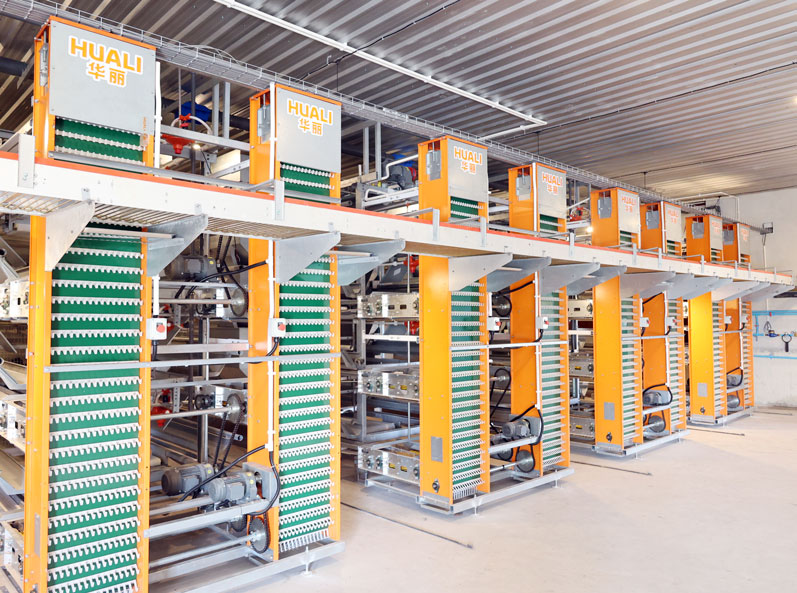 Thailand Layer Cage Farming Project