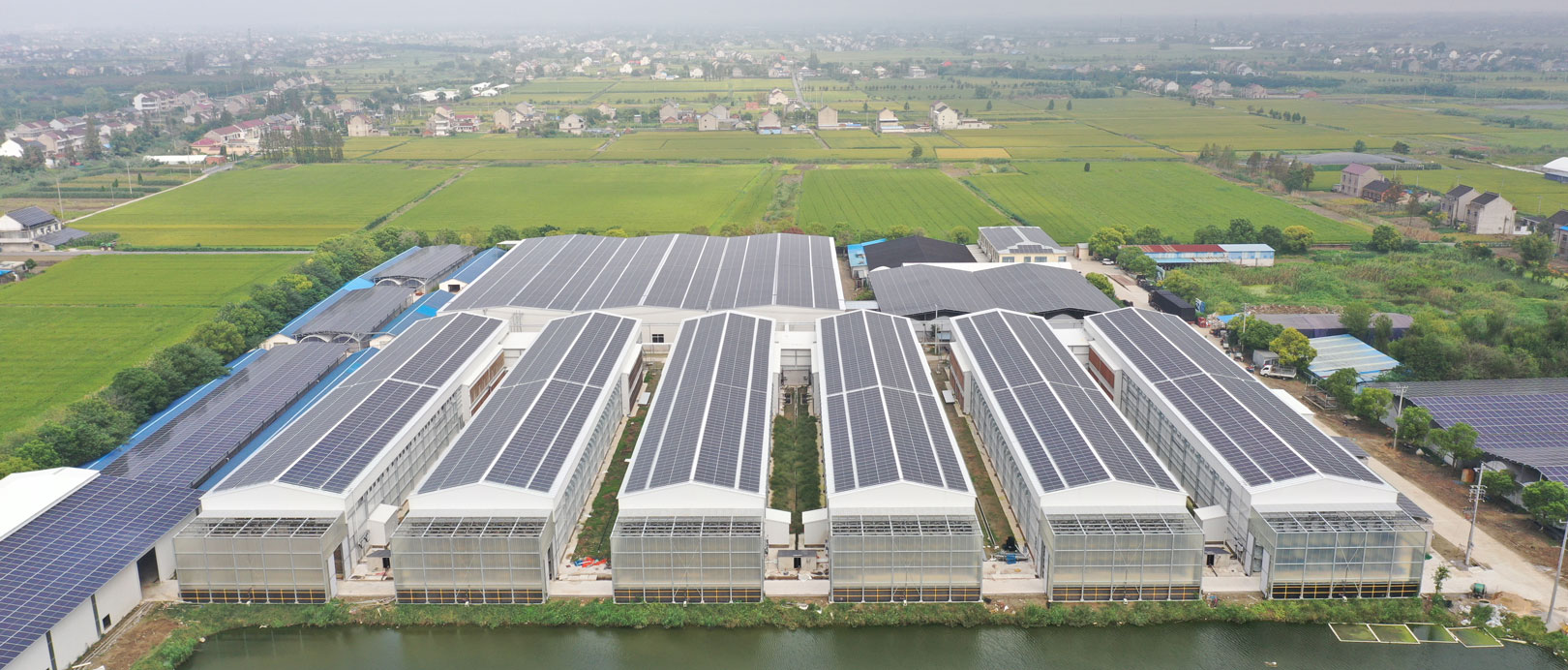 Taixing Shunhe Layer Duck Cage Farming Project