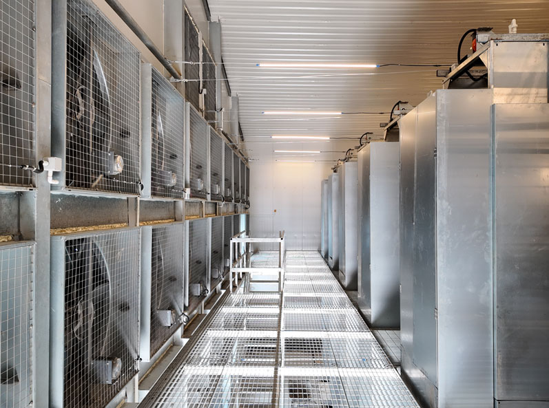 Taixing Shunhe Layer Duck Cage Farming Project