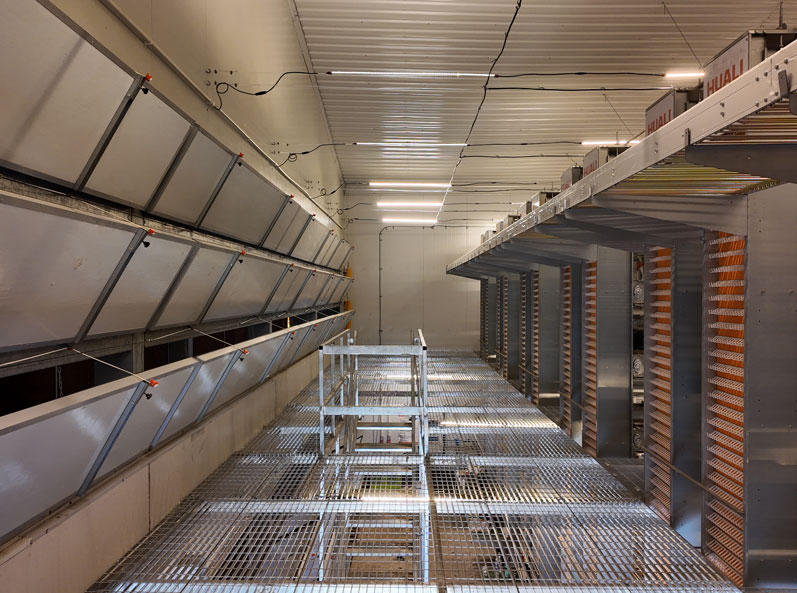 Taixing Shunhe Layer Duck Cage Farming Project