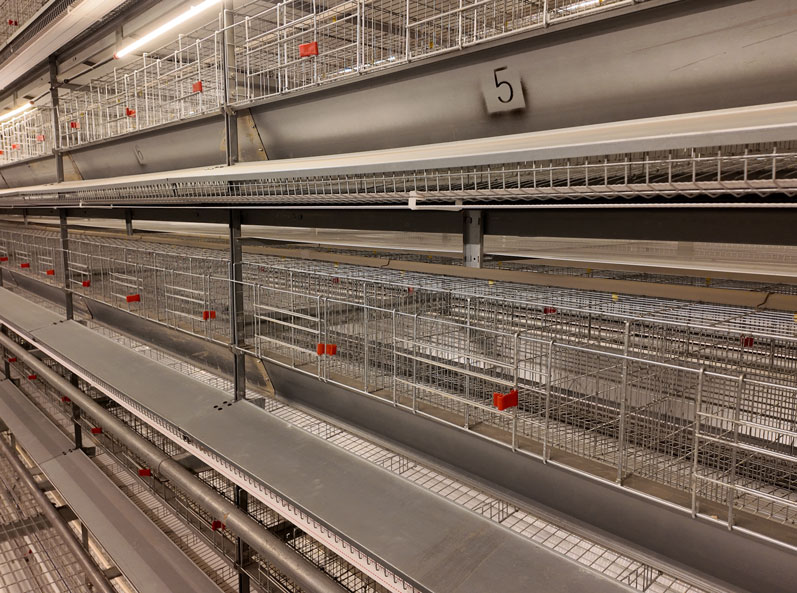 Taixing Shunhe Layer Duck Cage Farming Project