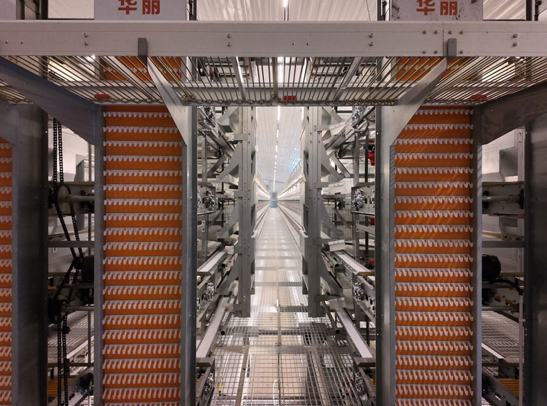 Taixing Shunhe Layer Duck Cage Farming Project