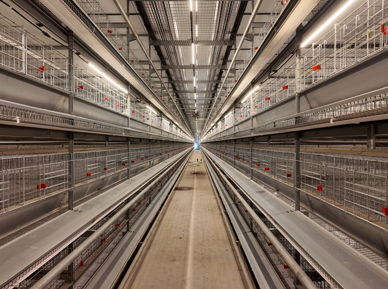 Taixing Shunhe Layer Duck Cage Farming Project