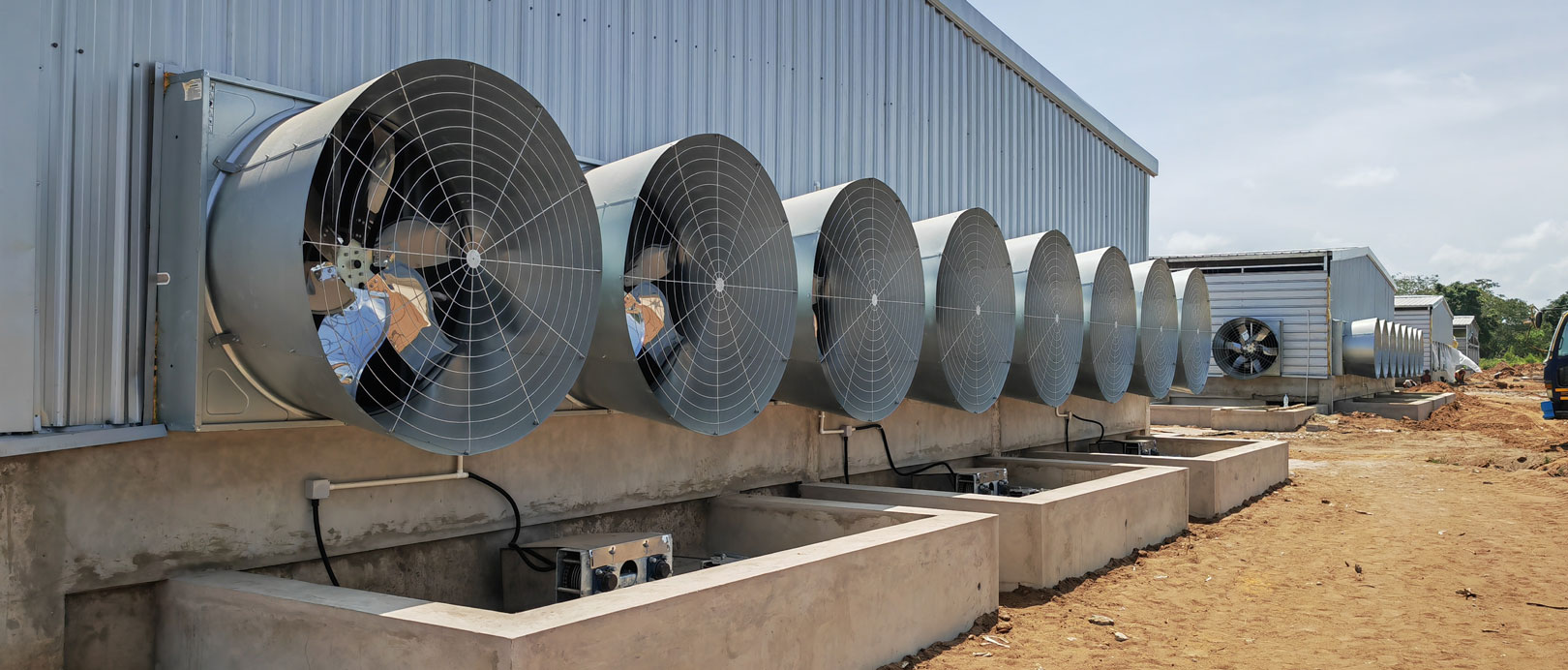 Tanzania Broiler Floor-Rearing Project