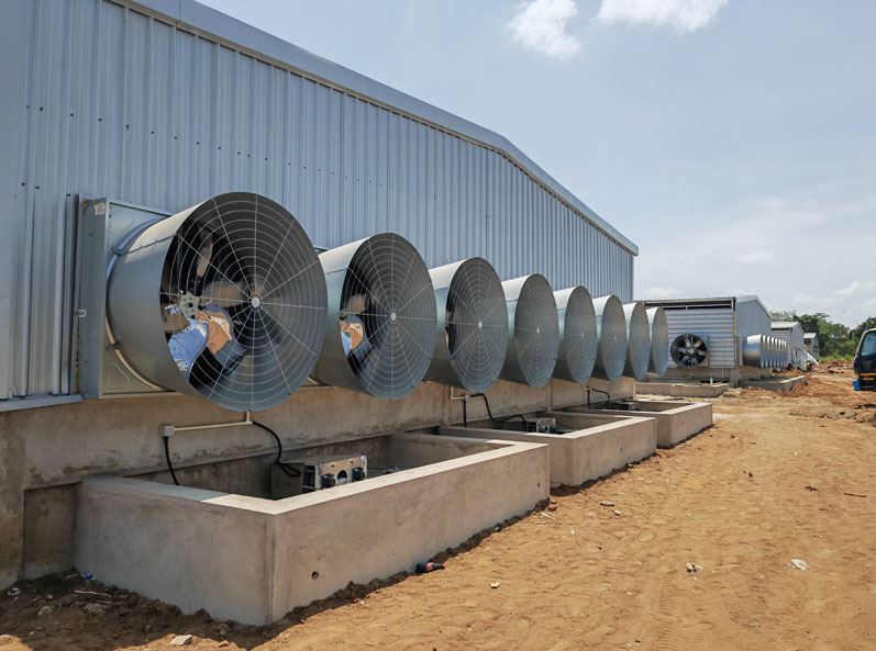 Tanzania Broiler Floor-Rearing Project