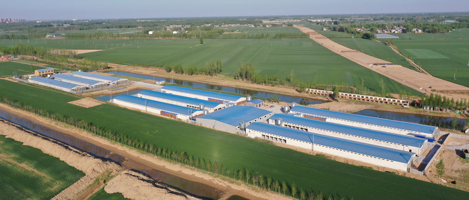 TianYuan Layer Cage Farming Project