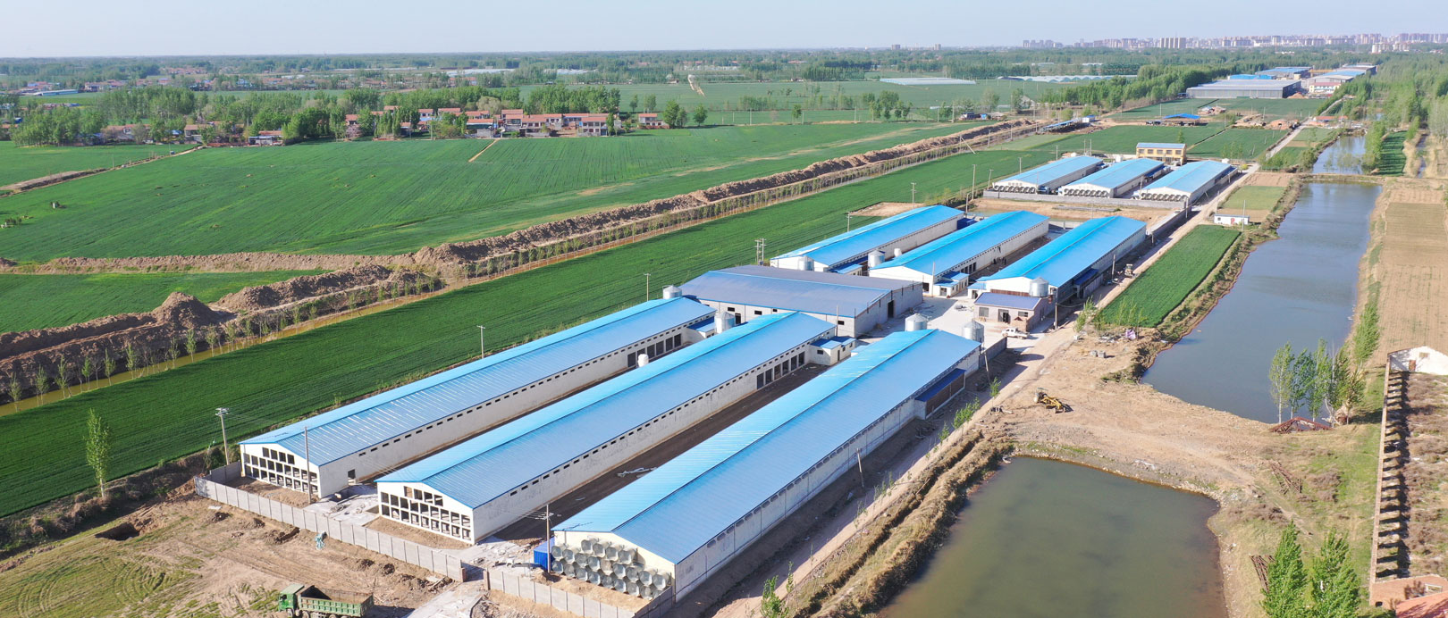 TianYuan Layer Cage Farming Project