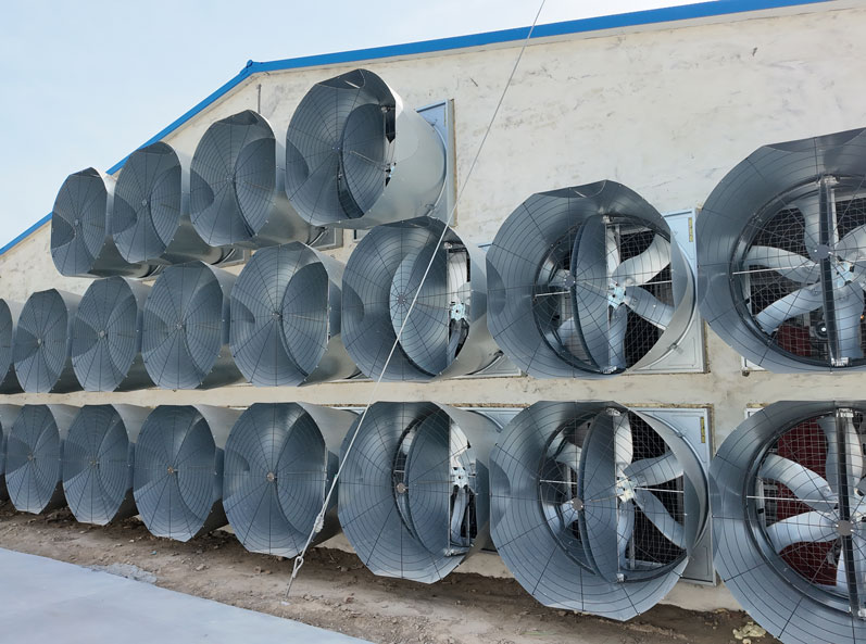 TianYuan Layer Cage Farming Project