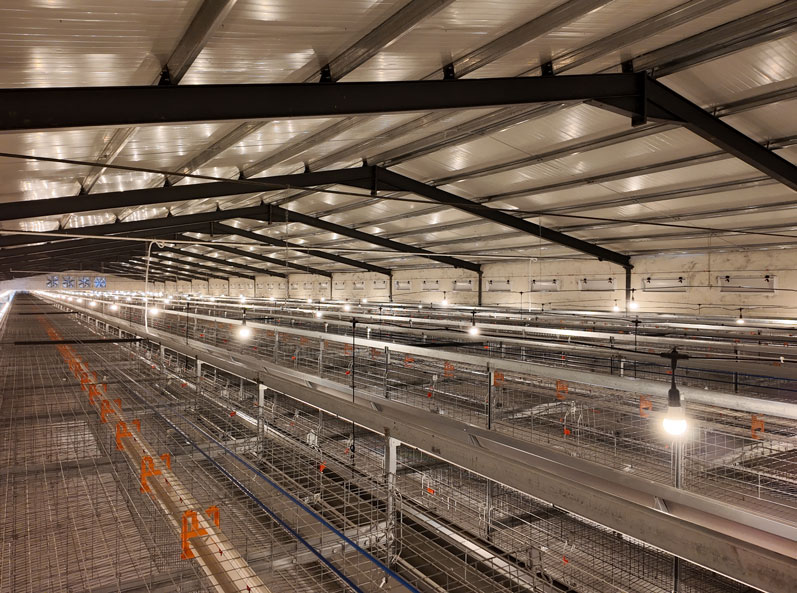 TianYuan Layer Cage Farming Project