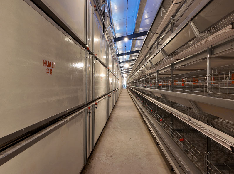 TianYuan Layer Cage Farming Project