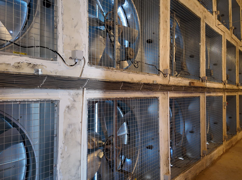 TianYuan Layer Cage Farming Project