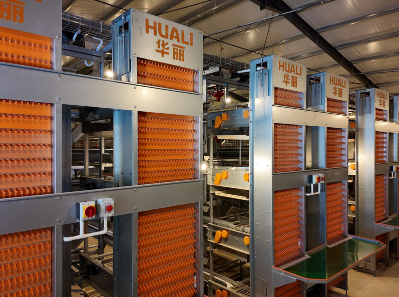 TianYuan Layer Cage Farming Project