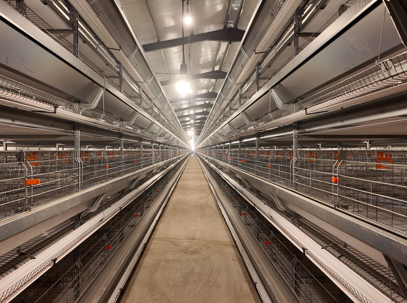 TianYuan Layer Cage Farming Project