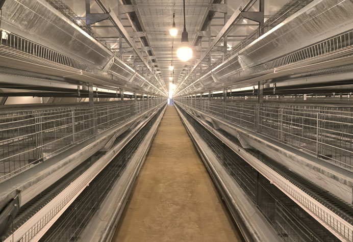 Layer cage